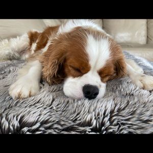 Meet your Posher, Jess